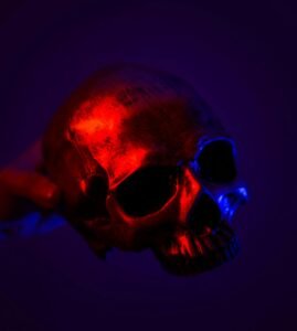 Are NFTs Dead or Evolving
